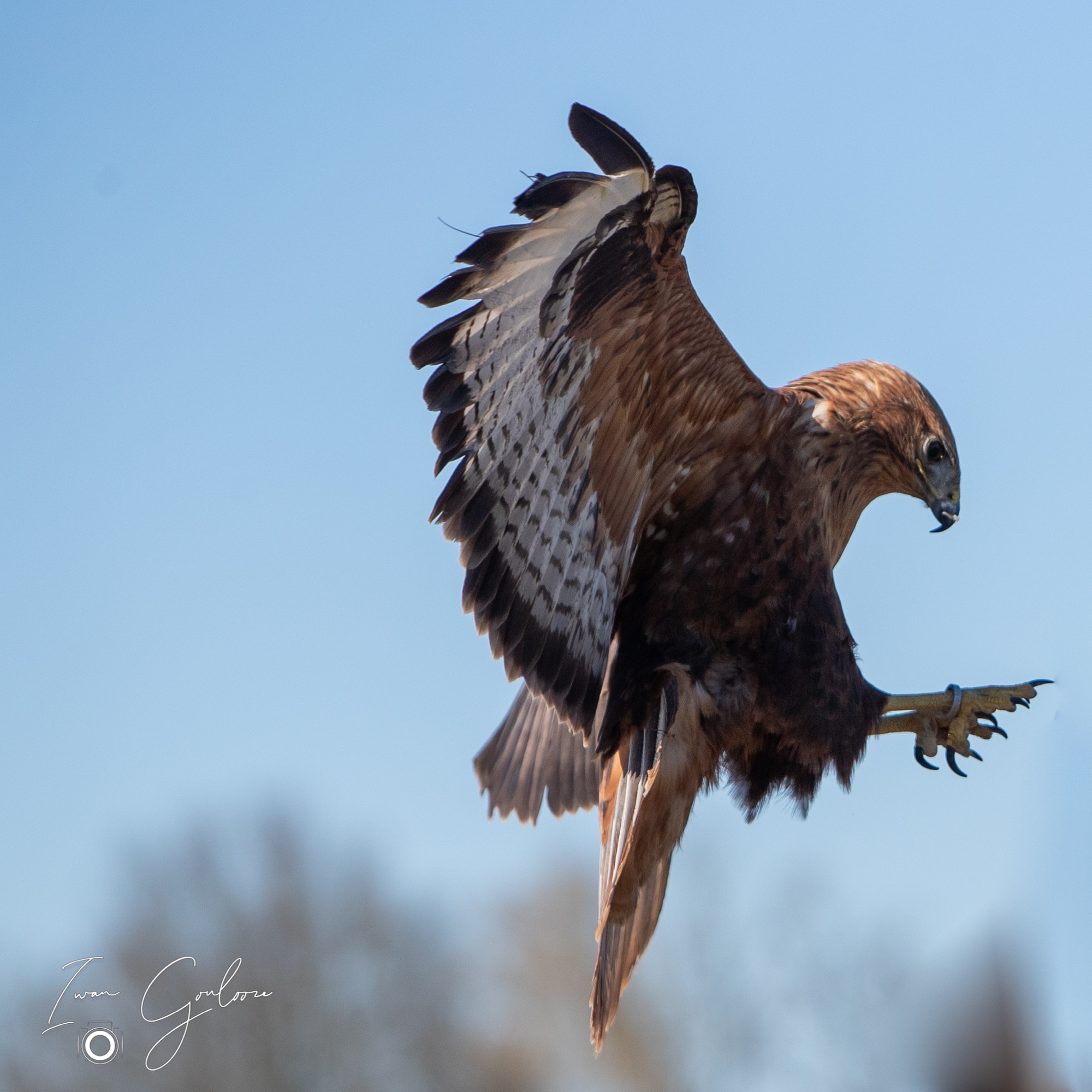 27 maart 2022 151656 1DX46060